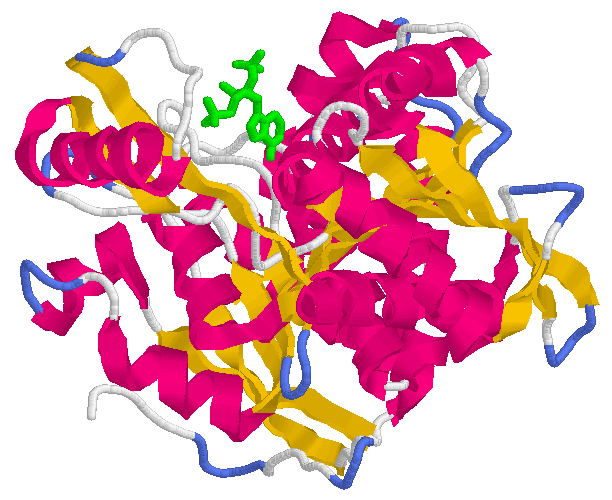 30 3 Isositrat dehydrogenase fjerner første CO 2 NAD + Dette trinnet er en oksidativ dekarboksylering. Isositrat oksideres til -ketoglutarat, samtidig som CO 2 spaltes av.