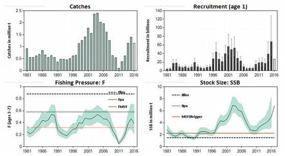 139 Nøkkeltall: Kritisk gytebestandsnivå (Blim): 1,5 millioner tonn Føre-var-gytebestandsnivå (Bpa): 2,25 millioner tonn tonn Tiltaksgrense for maksimalt langtidsutbytte (MSYBtrigger): 2,25 millioner