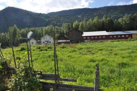 5. Økt karbon-binding ved optimal planteproduksjon og gjødsling Redusert jordbearbeiding Drenering Avrenning Utnytte voksestedet, jordart og klima Bruke gjødselplaner Still inn gjødselspreder Valg av