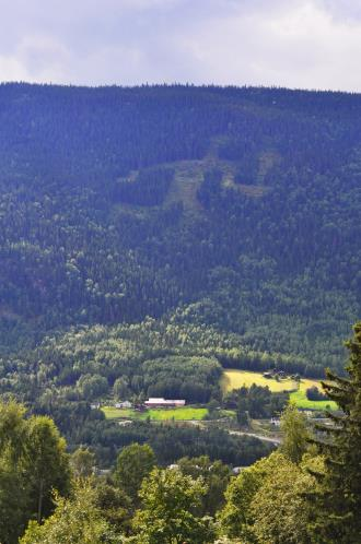 Tiltak for redusert energibruk og klimautslipp på gardsbruk Tiltak 1. Energieffektivisering i bygningsmassen 2. Konvertering til oppvarming med biovarme 3.