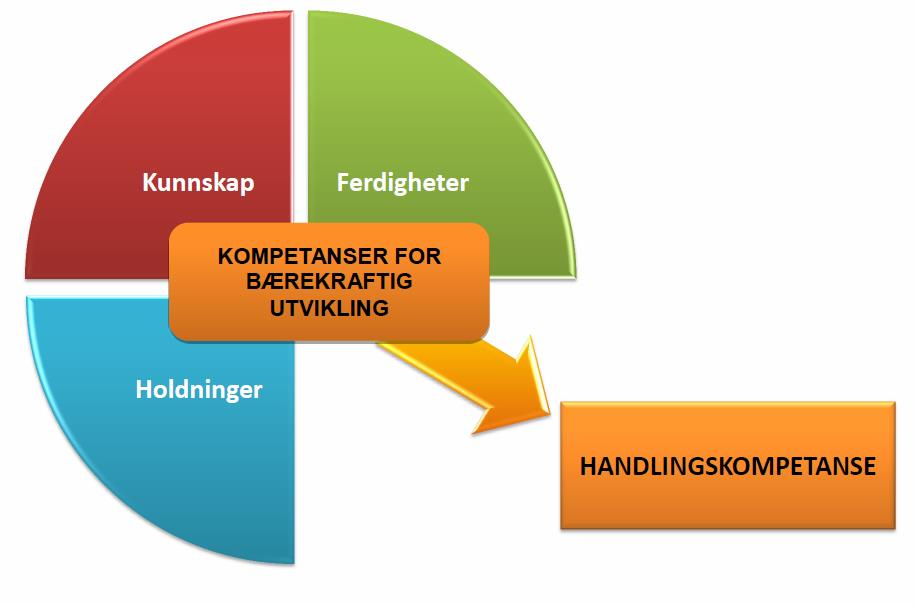 Elevene skal kunne innhente værobservasjoner fra værballong og værstasjon, analysere dataene og bruke disse til å forstå forandringer i