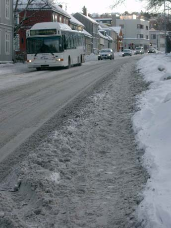 Dessuten trenger også busspassasjerene godt vedlikeholdte gangveger til og fra bussen. Etter vårt syn er strøing bedre enn salting.