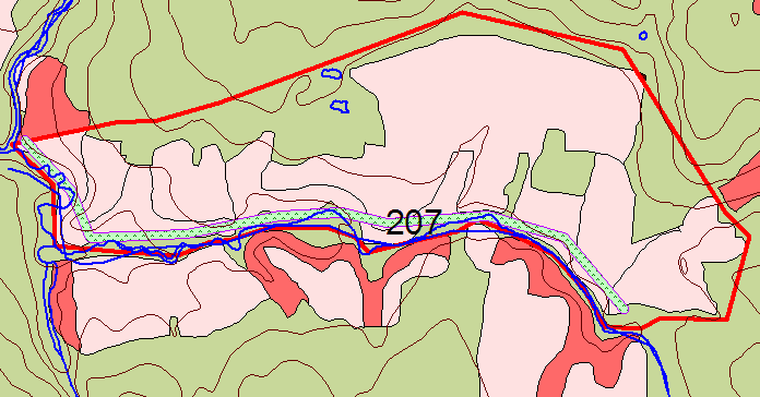 Figur 6. Eksempel på lokalisering av vegetasjonssone (nr 207). Vegetasjonssonens lengde og bredde kartlegges og kartfestes.