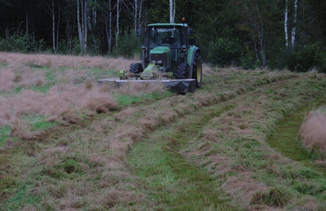 Legde og innhøstingsproblemer førte til lavere frøavling enn normalt for tidlige arter som engrapp, rødsvingel og engsvingel, og humler og bier hadde trasige dager i kløverfrøengene.