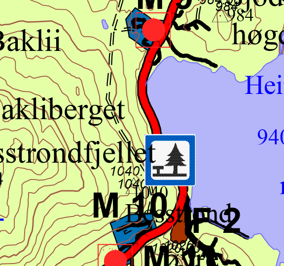 Føresegner Plankart (målestokk 1:2000 i A3-format) Illustrasjonsplan Illustrasjonsplanen viser internvegar og plassering av sanitærbygg.