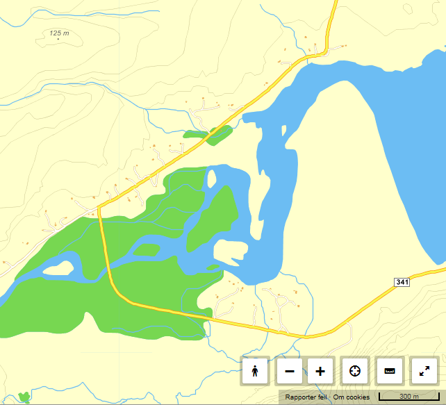 2.4 Sandfjordelv 1 Bru nr. 20-0833, lengde 39 m, vedlikeholdt med 2x60 µm høysink primer i 1992. Brua ligger litt over 1 km fra havet.