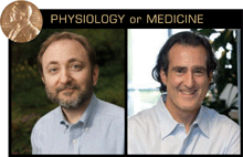 RNA-interferens og mirna Nobelprisen i medisin i 2006 gikk til Andrew Fire (Stanford) og Craig Mellon (Univ. of Massachusetts) for sin banebrytende oppdagelse av RNA interferens.