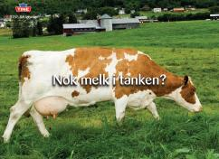 Antal buskaper For økoprodusenter som ønsker å fylle større andel av kvoten er det to mulige tiltak: - Øke kutallet - Begrensninger: grovfôrgrunnlag, fjøsplass - Øke leveransen av melk per ku -