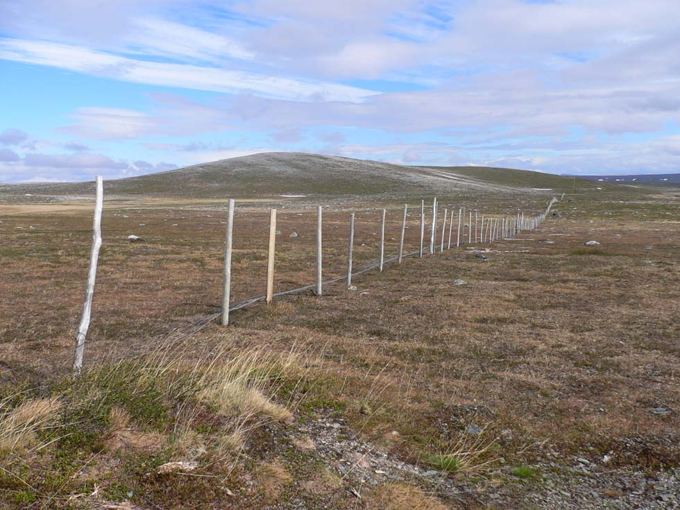 58 Figur 6.27. Sperregjerde mellom Gednje og Austertana. Gjerdet må henges opp og tas ned hvert år.