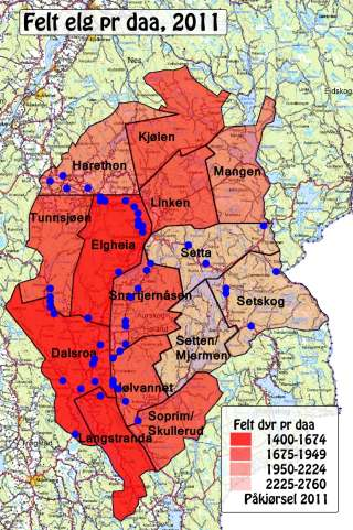 Rådet kan også reagere smidigere og raskere ved eventuelle endringer av elgstammen. Rådet valgte i 211 å begrense tildelingen av tilleggsdyr.