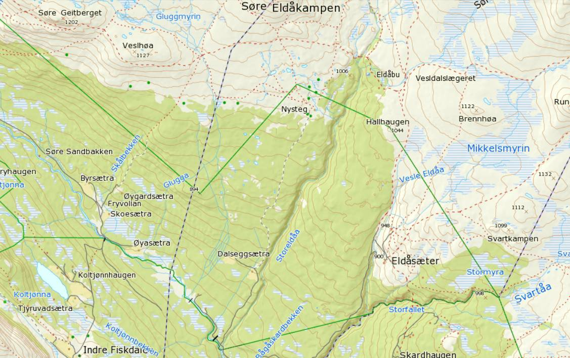 presedensvirkning for lignende søknader om lisensjakt i andre deler av verneområdene, noe som kan føre til en uheldig økning i bruk av motorisert transportmiddel i verneområdene.