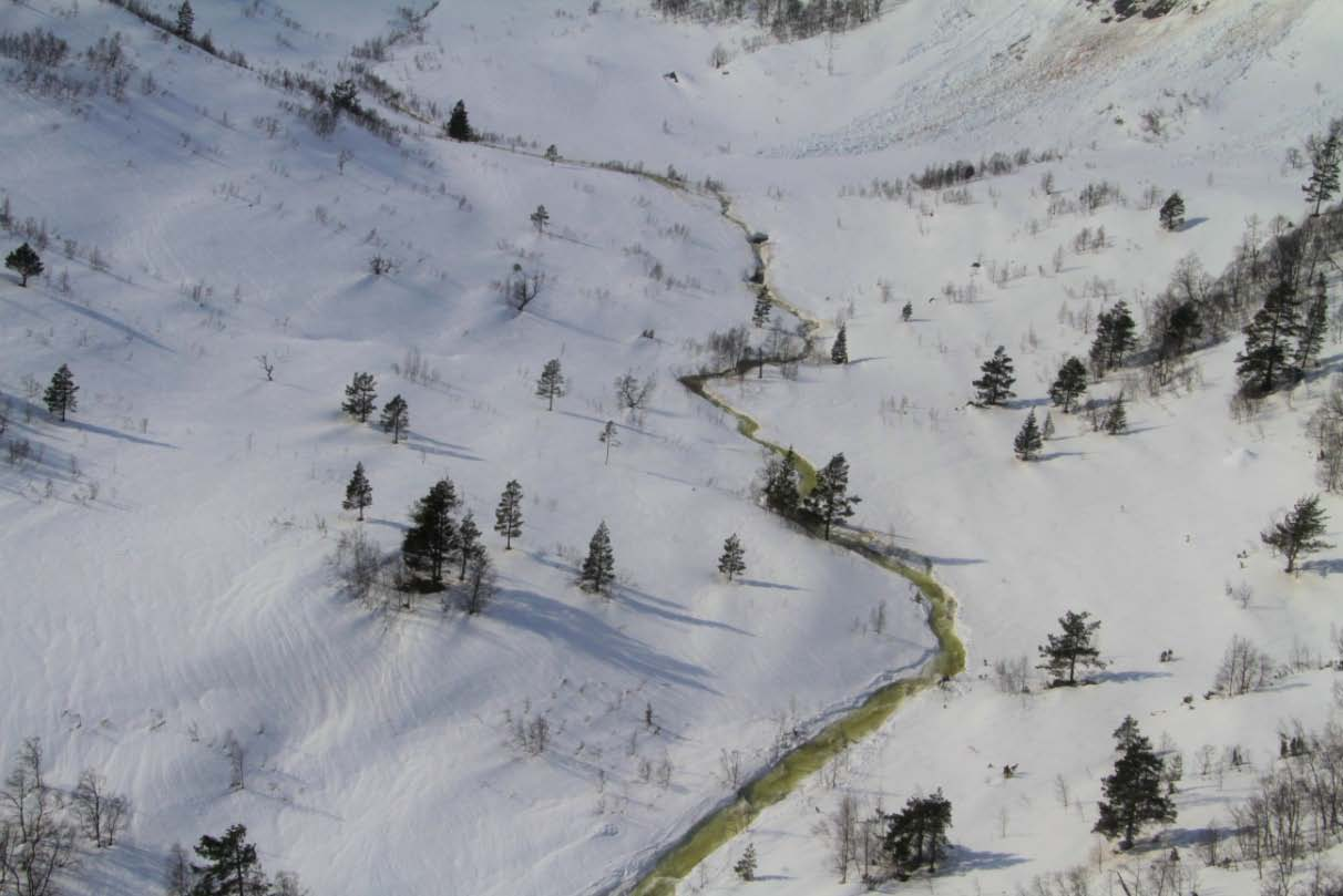 Side: 13 Figur 10 Eksempel på eit utløysingsområde for eit større sørpeskred (Balestrand, 2010) I 1897 gjekk eit sørpeskred i den austlegaste bekken (Bakkeelva) i planområdet.