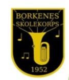 Borkenes Skolekorps Borkenes Skolekorps har et tett samarbeid med Kulturskolen. Korpset betaler for korpsmedlemmenes opplæring på et korpsinstrument i tre år.