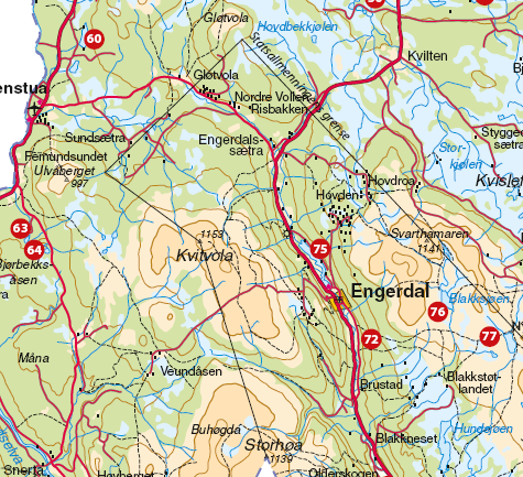 To nasjonalparker (Gutulia og Femundsmarka), seks naturreservater og ett landskapsvernområde Småsjøkongen - en 350-400 år gammel fredet furu av kjempedimensjon (Småsjøvollen ved Femunden) Veiløse