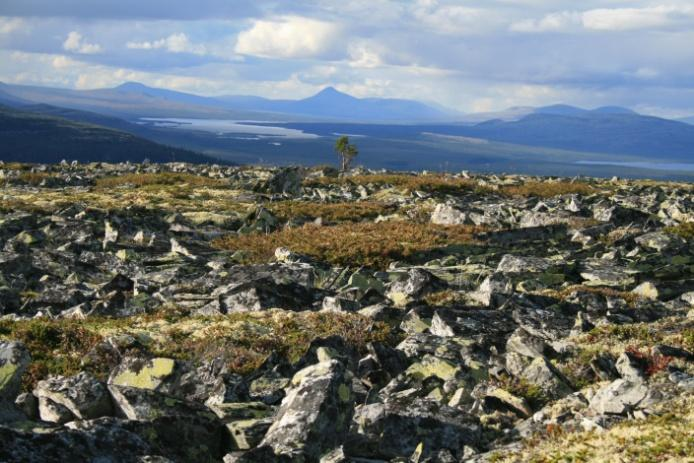 1 - KVITVOLA Området tilsvarer grovt sett planområdet og består av et fjellområde med høyde opptil 1153 moh. Seterdrift og vegen over fjellet utgjør kulturhistoriske element i delområdet.