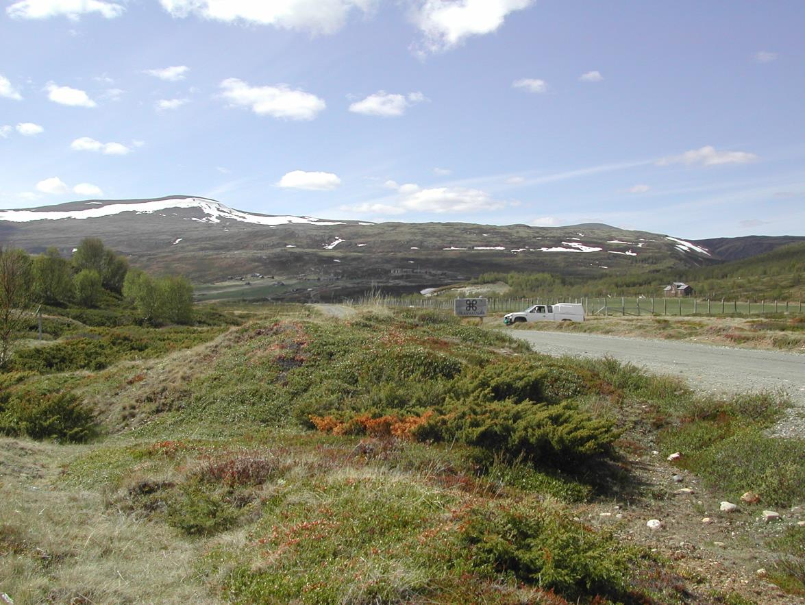 Figur 22. Den søndre Gravhaugen som ligger rett ved vegen.