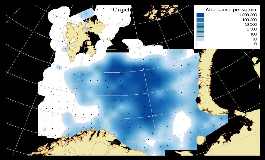 Figur 4 Konsentrasjon av 0-gruppe lodde i Barentshavet august-september 2007. Figur 5 Konsentrasjon av 0-gruppe nvg-sild i Barentshavet august-september 2007.