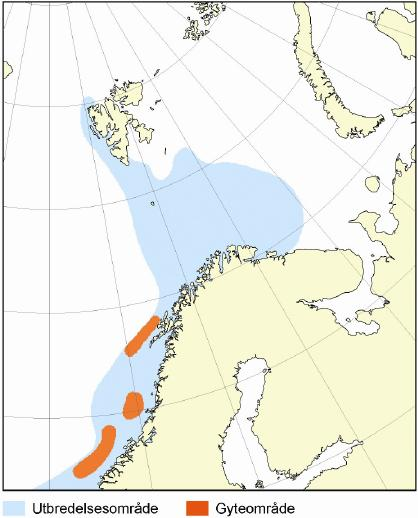 Bunnfisk og dyphavsarter Seibestanden nord for 62 o N gyter på bankområdene utenfor Møre, Nordland og Vesterålen (vist i