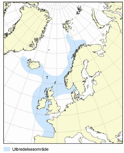 Begge de foreslåtte TFO-utvidelsene i Norskehavet utenfor Trøndelag og Helgeland ligger i utbredelsesområdet og fiskeriområdet for vassild som beskattes med pelagisk trål og bunntrål, og det er også
