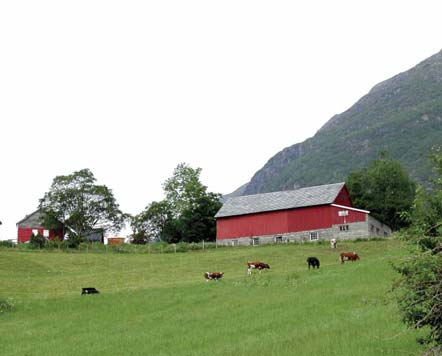 Eiendomsutviklere Offentlige myndigheter Eiendomsutviklere som disponerer utviklingsarealer har behov for forutsigbarhet om hvordan eiendommene kan utnyttes.