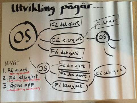 Det viser seg å være ei øving å plassere tiltak og handlingplanar på riktig nivå. Nivå 1. tiltaka er så tydlelege at det skal være mogleg å avgjerde kven, når og korleis og så gjennomføre tiltaket.