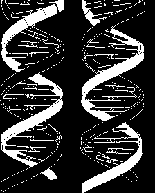 kommende biologisk har behov for, signaliserer på en slik måte, kan dette utløse de ønskede ressurser fra den andre part, selv om den andre ikke var imøtekommende tidligere, på grunn av den