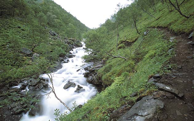 LT 1 Fjordvendte fjelldaler Bilde 3. LT ens vannforekomster er varierte, og tilfører landskapet en rekke ulike se-opplevelser.