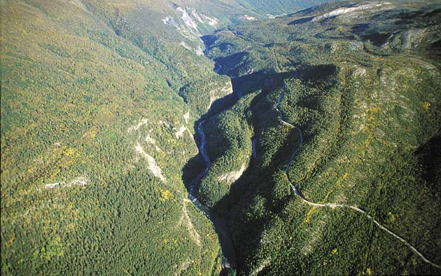 Sammen med kalkrike bergarter danner det grunnlag for et av Norges rikeste plantelokaliteter. Bildet viser Sneliflåget. Bilde 10.