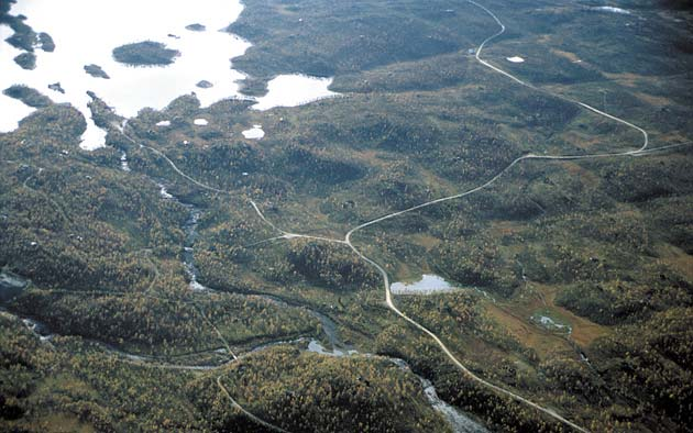 LT 7 Viddedaler Bilde 27. Småformer og lauvskog skaper utallige små landskapsrom i dalbunnen.