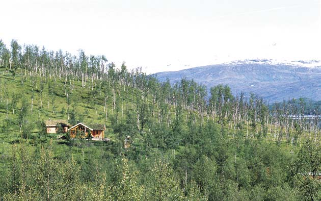 Der det finnes store vann endres landskapet til en mer storskala karakter, med bl.a. lengre siktstrekninger. Forskjell i romlig skala gjør også at ulike inngrep framstår med ulik visuell effekt.