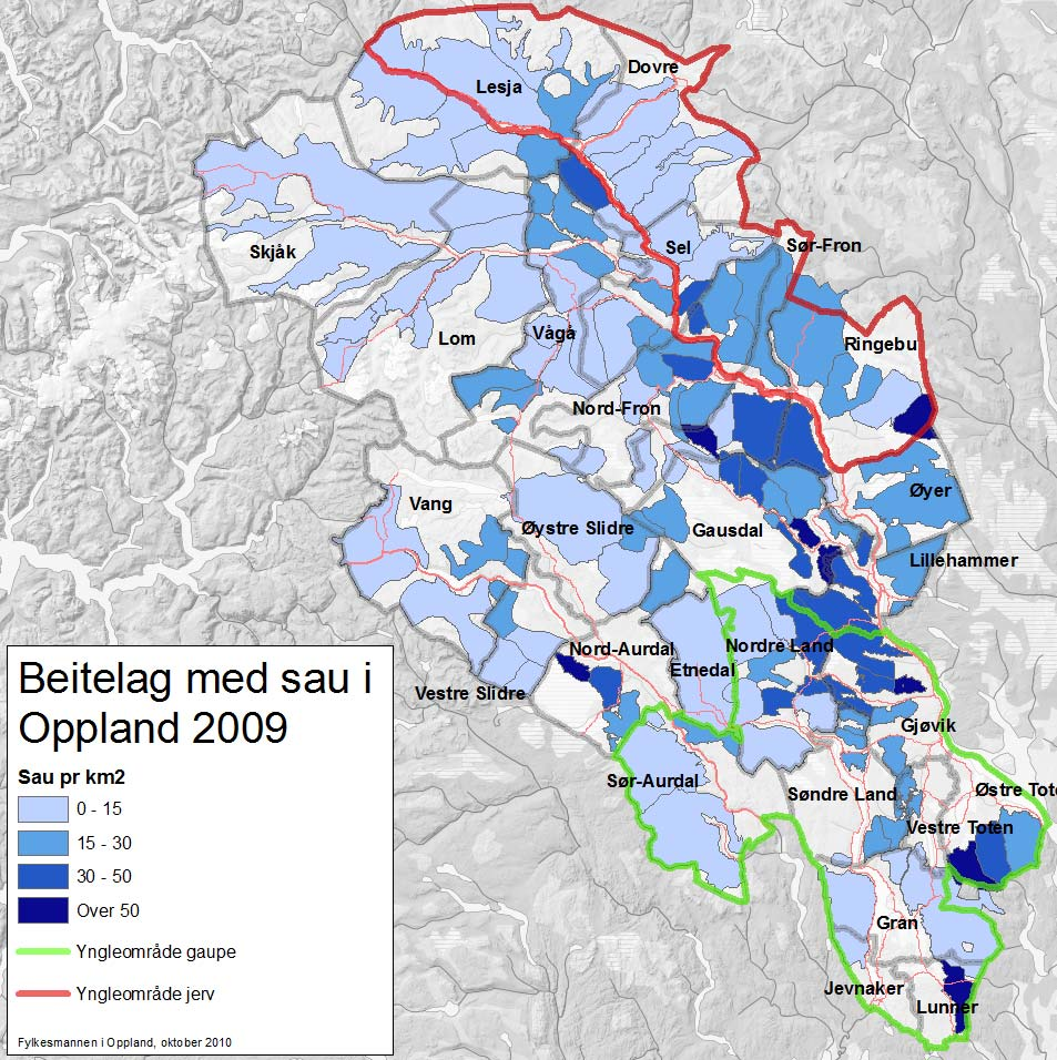 Tetthet av bufe på utmarksbeite pr. km2.