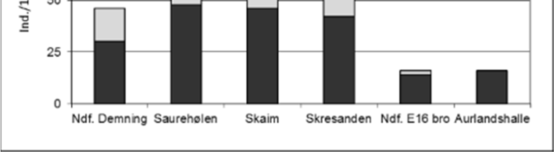Resultater 32 Ungfisktetthet laks 2010 100 75 laks eldre laks 0+ Ind./100 m 2 50 25 0 Ndf. Demning Saurehølen Skaim Skresanden Ndf.