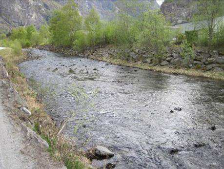 Resultater 46 Figur 76 Midjeelva ved Vassbygdi Figur 77 Munning i Vassbygdelva. Ut i fra våre oppmålinger 4. mai 2011, er arealet beregnet til 12000 m 2 (Figur 55). Lengden på anadrom del er 1450 m.