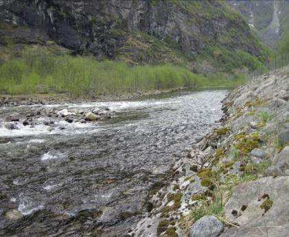 Det fantes vegetasjon helt ned til vannkanten, på øyer og stein som stakk opp av vannet. Substrat under vann var begrodd med mose.