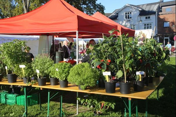 Til venstre: NTNUs stand bugnet av planter, urter og grønnsaker, og de fikk mye oppmerksomhet fra publikum. Til høyre: Cesarine M.