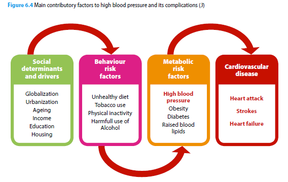 Sosiale determinanter-> atferd -> metabolske risikofaktorer ->