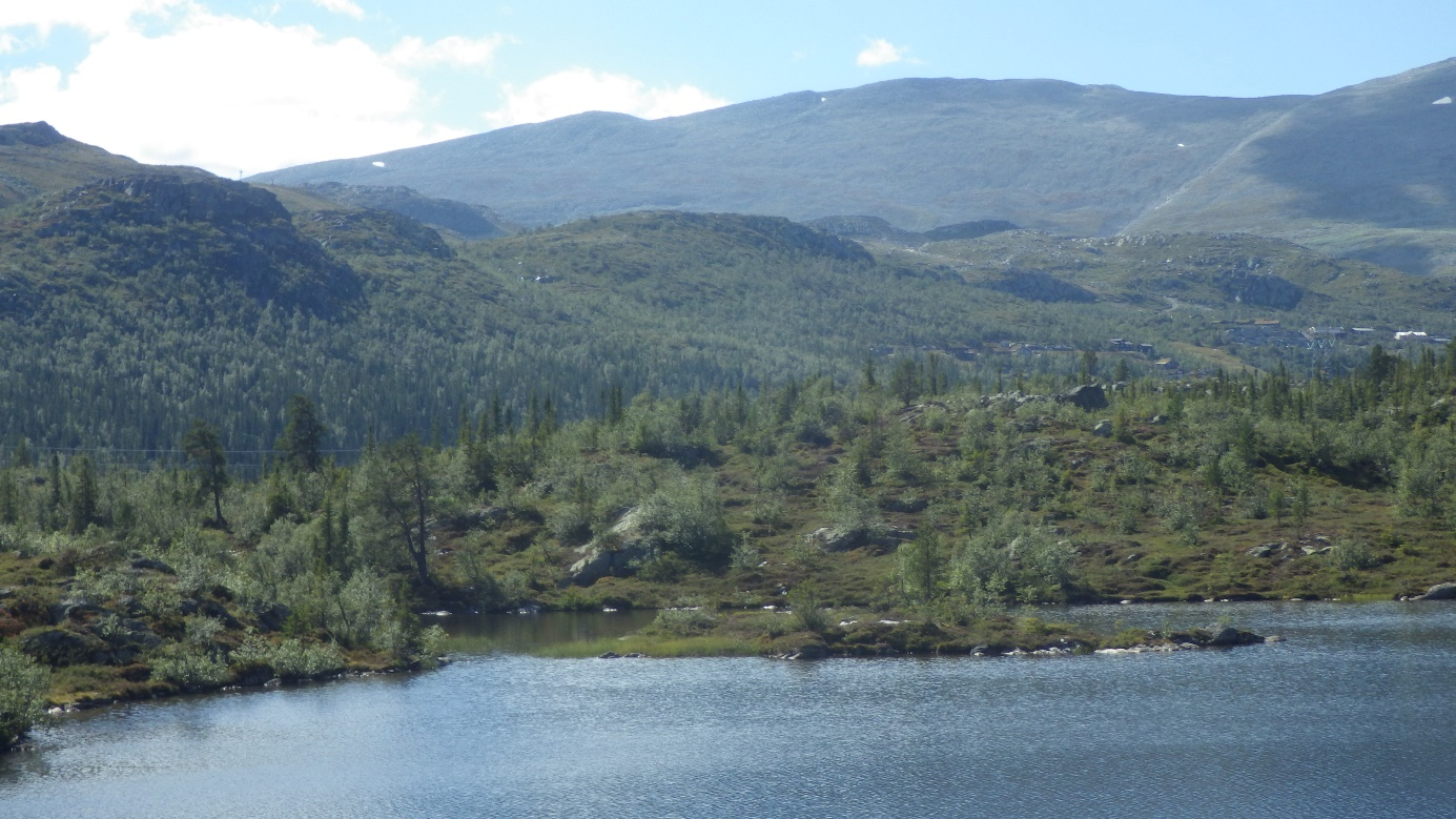 20 7.3 Landskap Fig 17: Konturene av området markert med hvit, stiplet linje sett fra Kvitåvatn på nedsiden av Gaustablikk Høyfjellshotel.