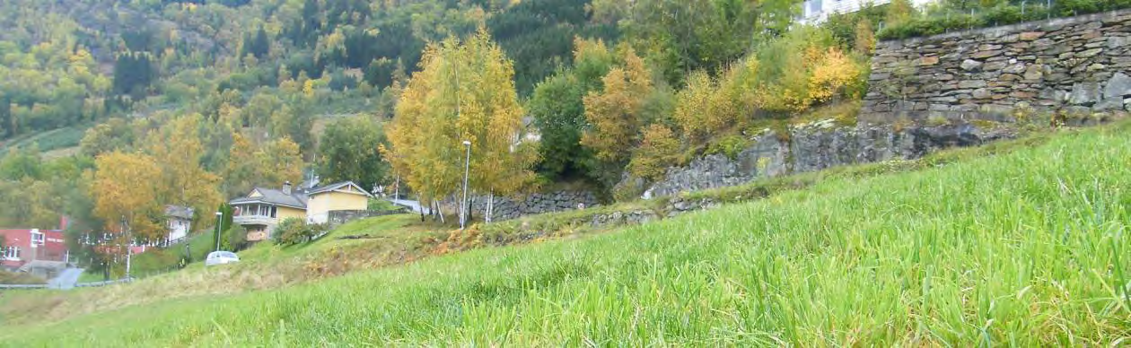 INTERKOMMUNALT SAMARBEID KOMMUNEGEOLOG Grunnundersøking og skredvurdering av Markastå, Sekse 9. Synfaring (skredfare) Område rundt Markastå bustadfelt vart synfare måndag 1.