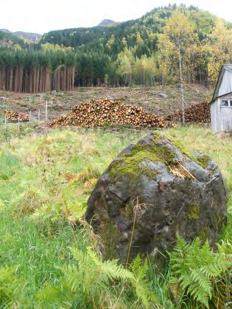 Bak blokka kunne ein på synfaringsdagen sjå spor i graset at blokka hadde trille ned mot dagens plassering. Blokka er truleg remobilisert av ein maskin under arbeid med hogsten. 9.4.