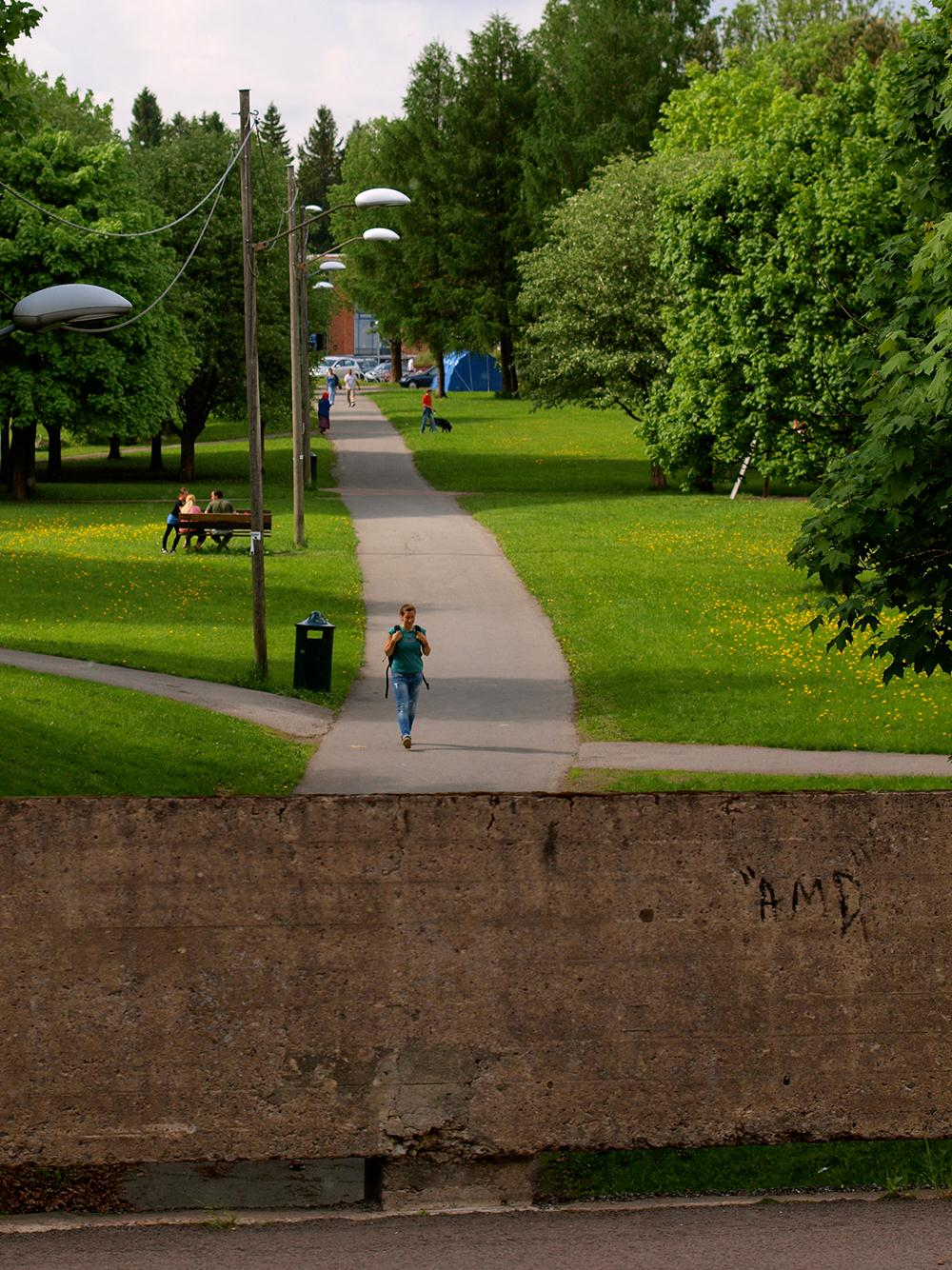 AMMERUD - OMDØMME OG LEVEKÅR 36 3.