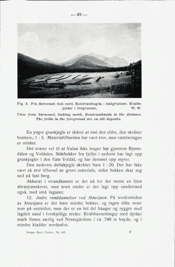 49 Fig. 8. Fra Sørnesset mot nord. Rondvasshøgda i bakgrunnen. Kvabbjorder i forgrunnen. W. W. View from Sørnesset, looking north, Rondvasshøgda in the distance.