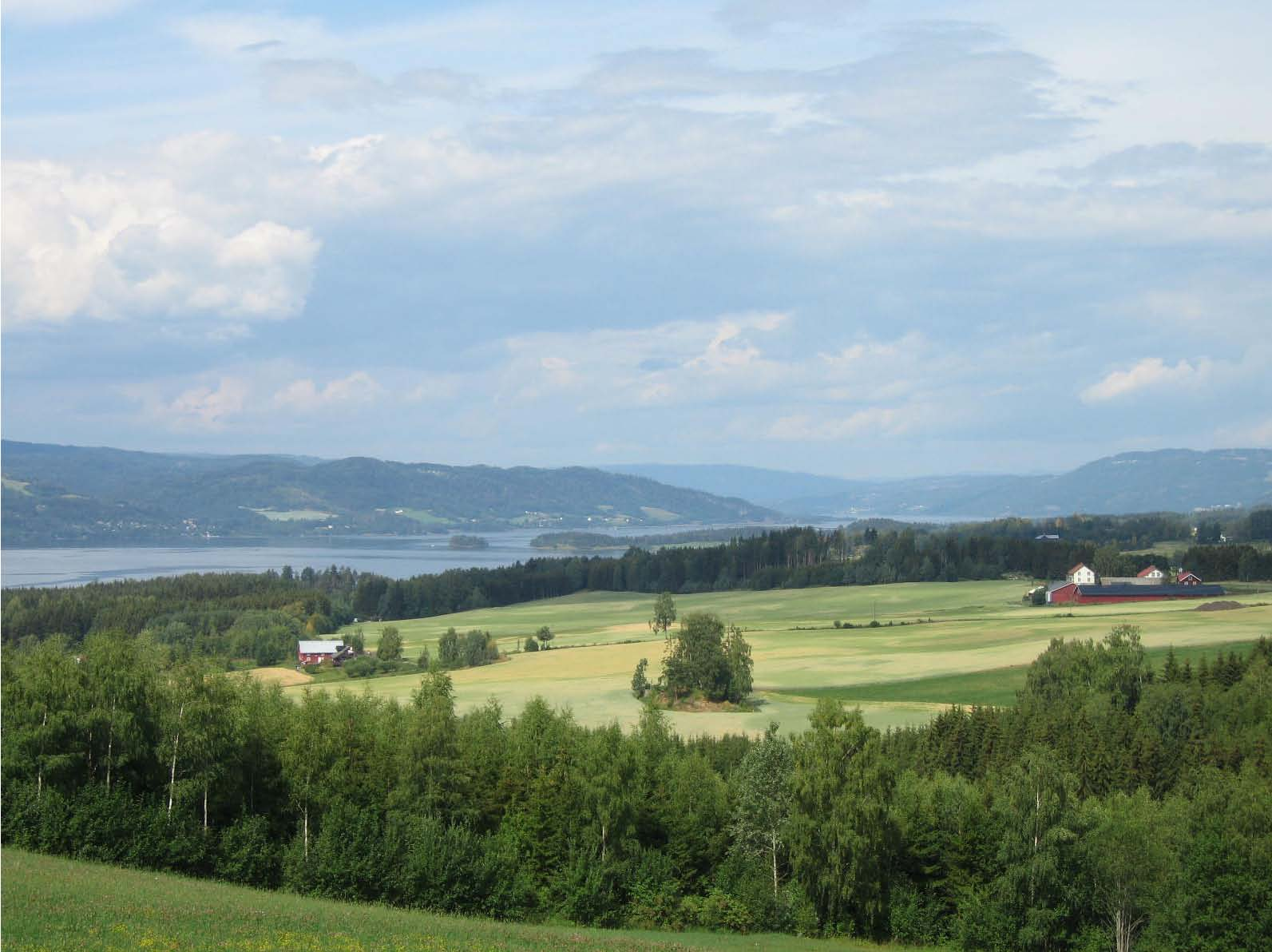 Forurensningssituasjonen i Mjøsa med tilløpselver 2006 Mjøsa sett fra Gaupen Foto: J.E.