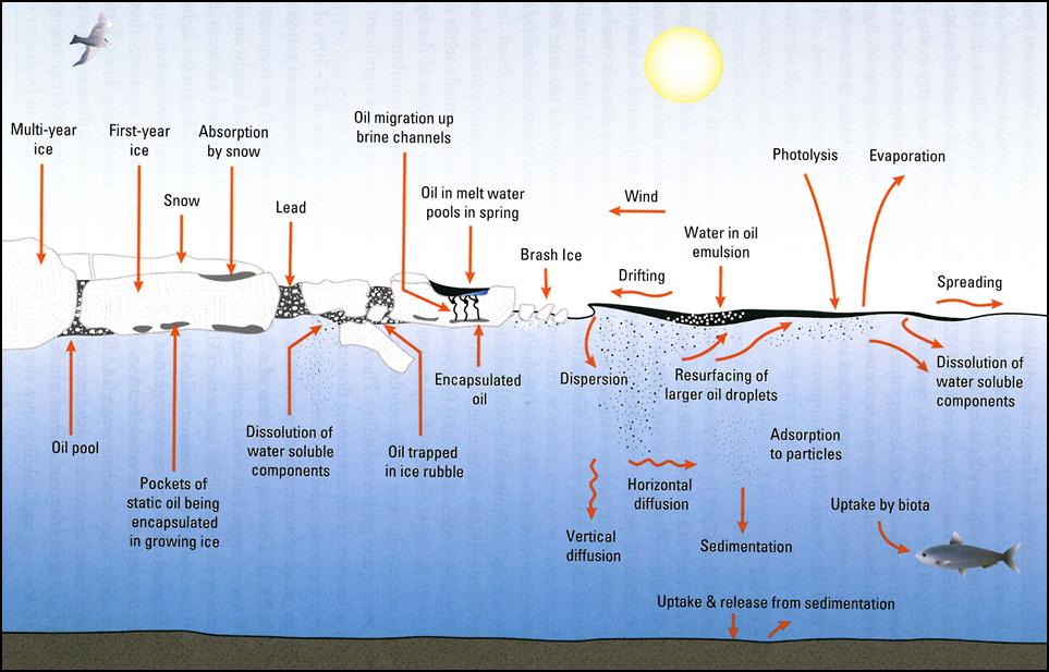 Figur A 1 Skjematisk bilde på forvitring av olje i interaksjon med is (NRC, 2014).