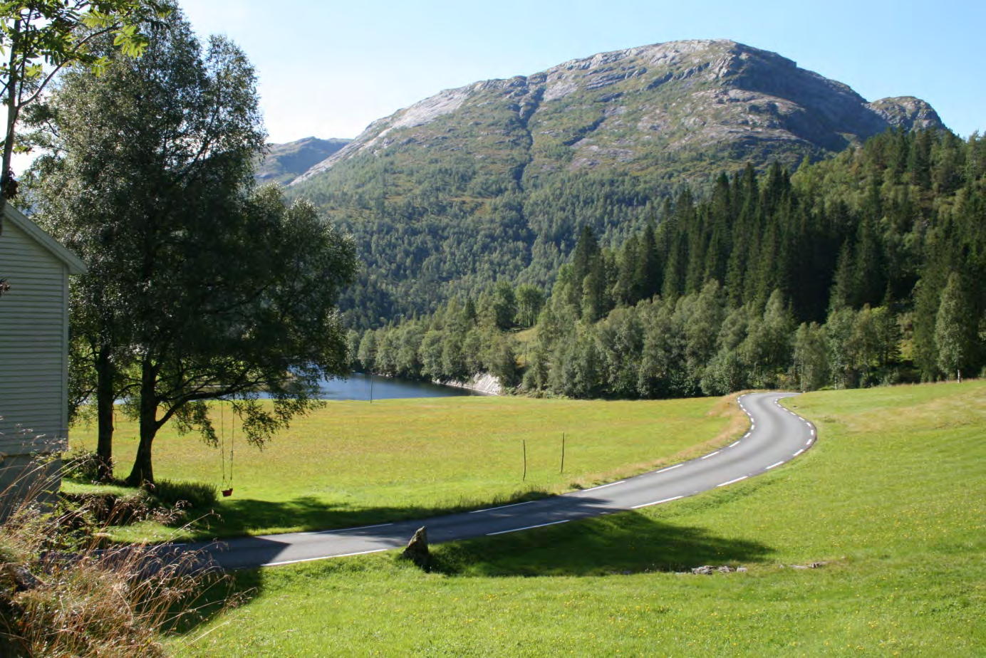 I framgrunnen eit tørt ( oppheva ) område der det ikkje vart funne sopp.