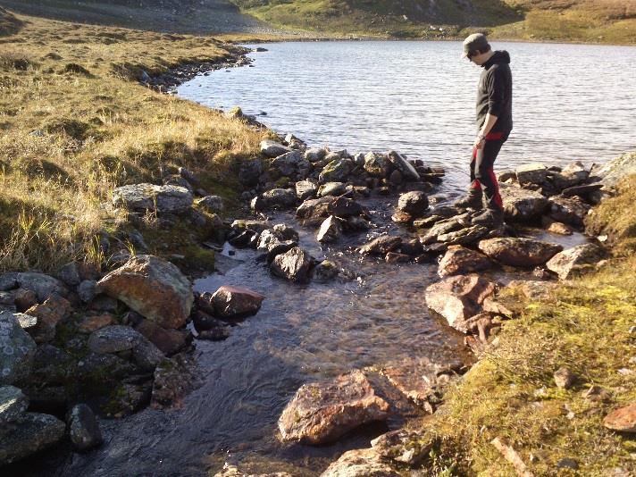 For Mogressfjell-/Umskardområdet fant man ingen elver eller bekker hvor det ble vurdert som mulig å fange inn og flytte ungfisk.