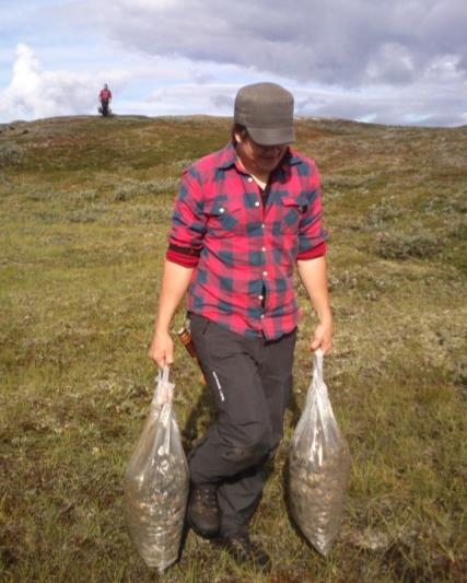 2.5.2 Tilførsel av gytegrus For å styrke naturlig rekruttering har det blitt forsøkt etablert nye gyteområder ved at det er tilført egnet, sortert grus i bekker rundt til sammen 26 tjern (tabell 2).