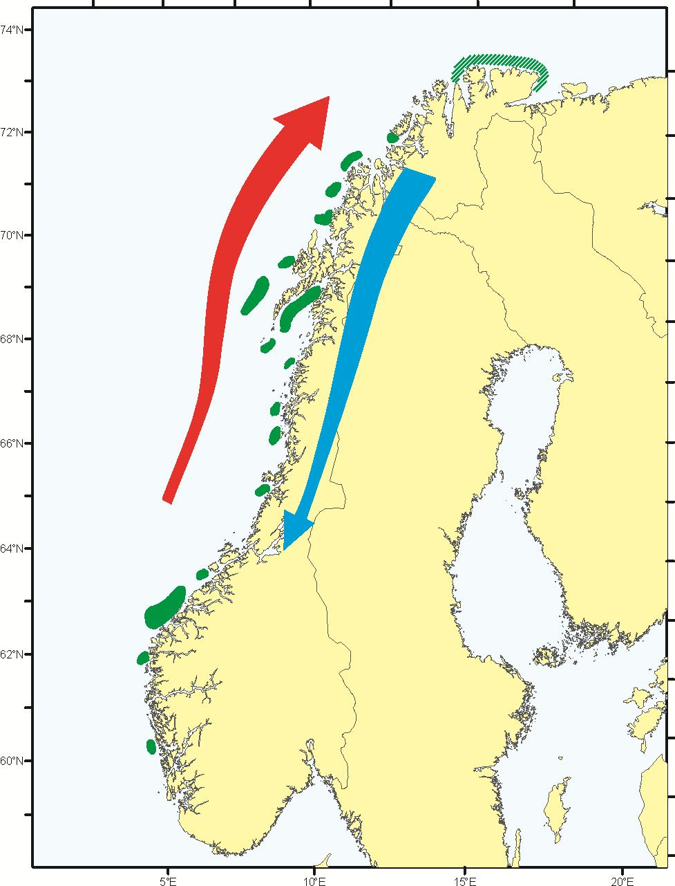 Langtidsendringer i gyteområder og gytesuksess for torsk I varme perioder: - forflytning nordover - økning i