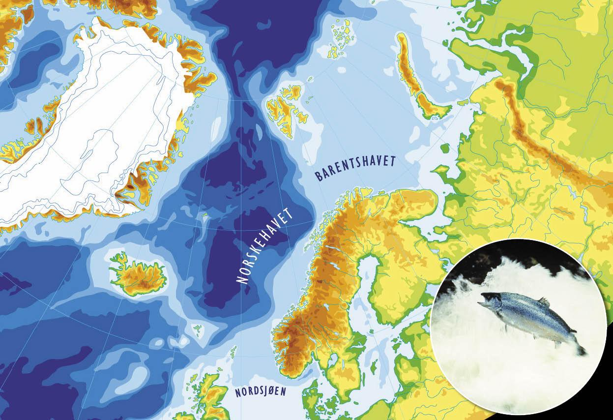 Havlandet Norge, verdens nest