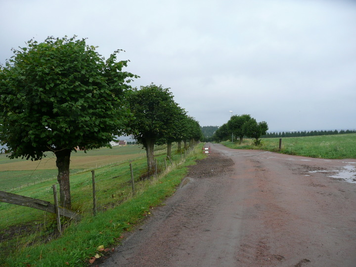 Utomhusanlegg Elementnr: 2 Elementnavn: Veisystem Beskrivelse: Elementnr: 1 Elementnavn: Kaianlegg Beskrivelse: Båthus 14,15 x 18 m reisverk, teglstein.