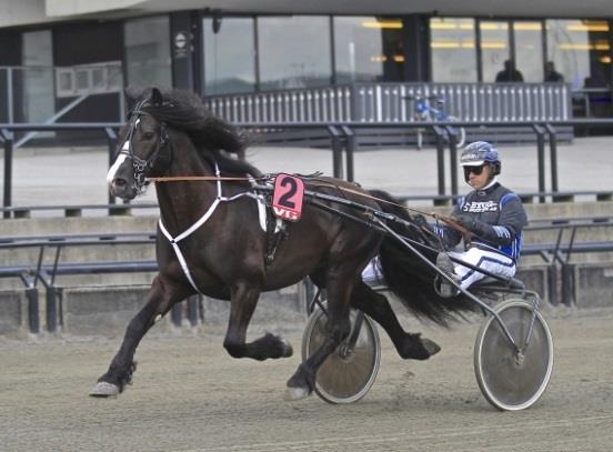 Sport i klubben: Klubbens hester tok 56 seire og tjente over 3,2